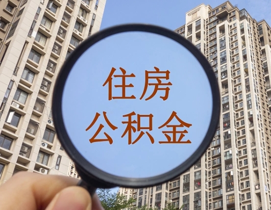 仙桃单位补缴公积金需要什么手续（单位补缴公积金需要什么资料）